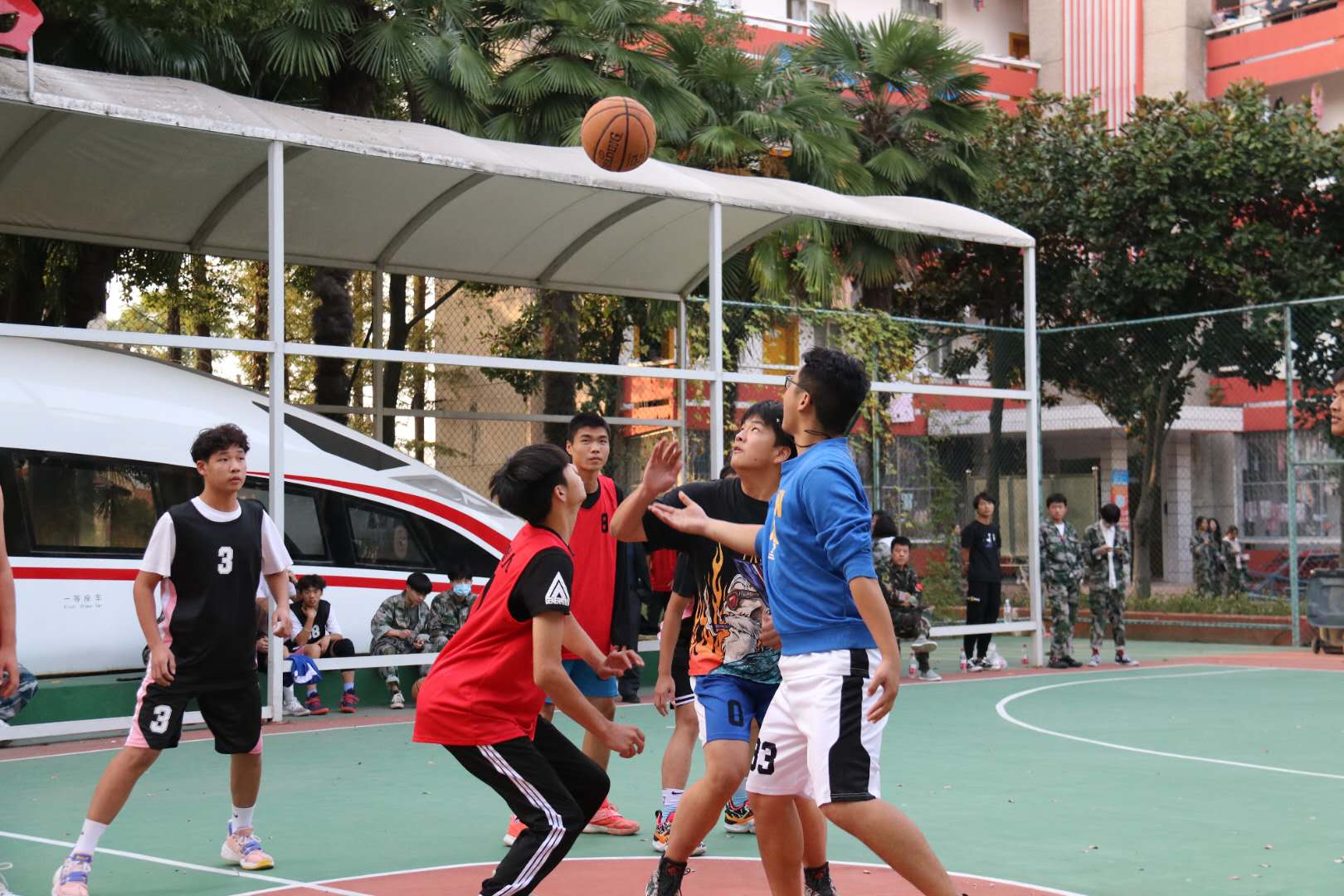 5fc0728c43a98.jpg